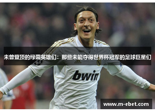 未曾登顶的绿茵英雄们：那些未能夺得世界杯冠军的足球巨星们
