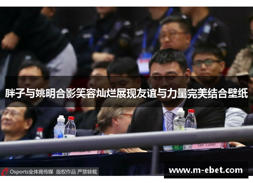胖子与姚明合影笑容灿烂展现友谊与力量完美结合壁纸