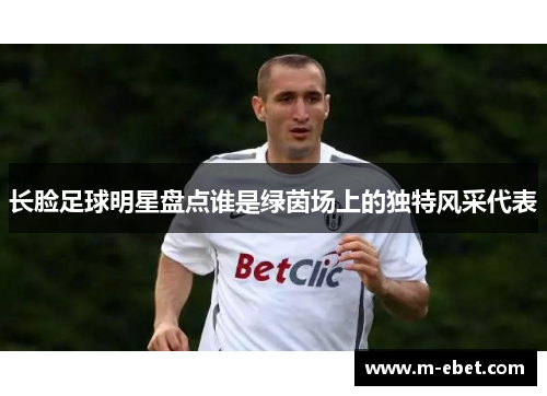 长脸足球明星盘点谁是绿茵场上的独特风采代表